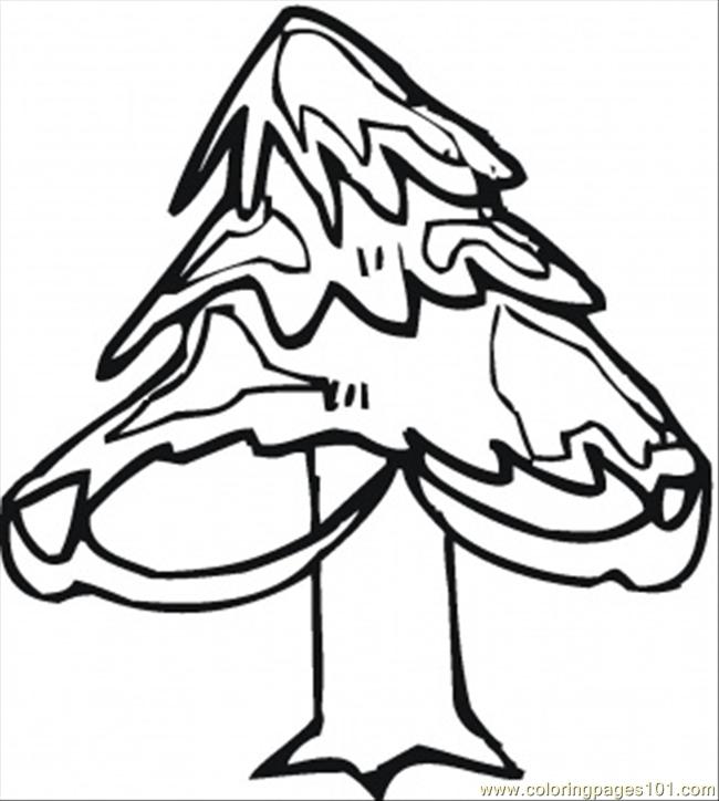 650x724 Pine Tree In Winter Coloring Page
