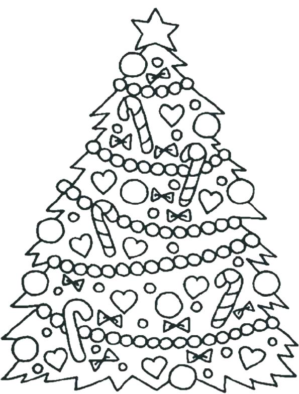 595x785 Printable Pine Tree Coloring Pages Free F Fuhrer Von