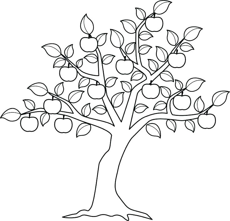 736x708 Tree Coloring Pages Tree Coloring Page Coloring Pages Tree Apple