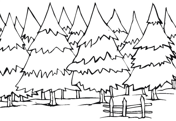 614x424 Tree Coloring Pages Winter Tree Coloring Pages Kids Coloring Pages