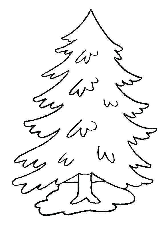 582x794 Trees Coloring Pages Coloring Page Tree Pine Trees Coloring Pages