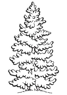 236x333 Beautiful Pine Tree Coloring Page From Pine Trees Category. Select