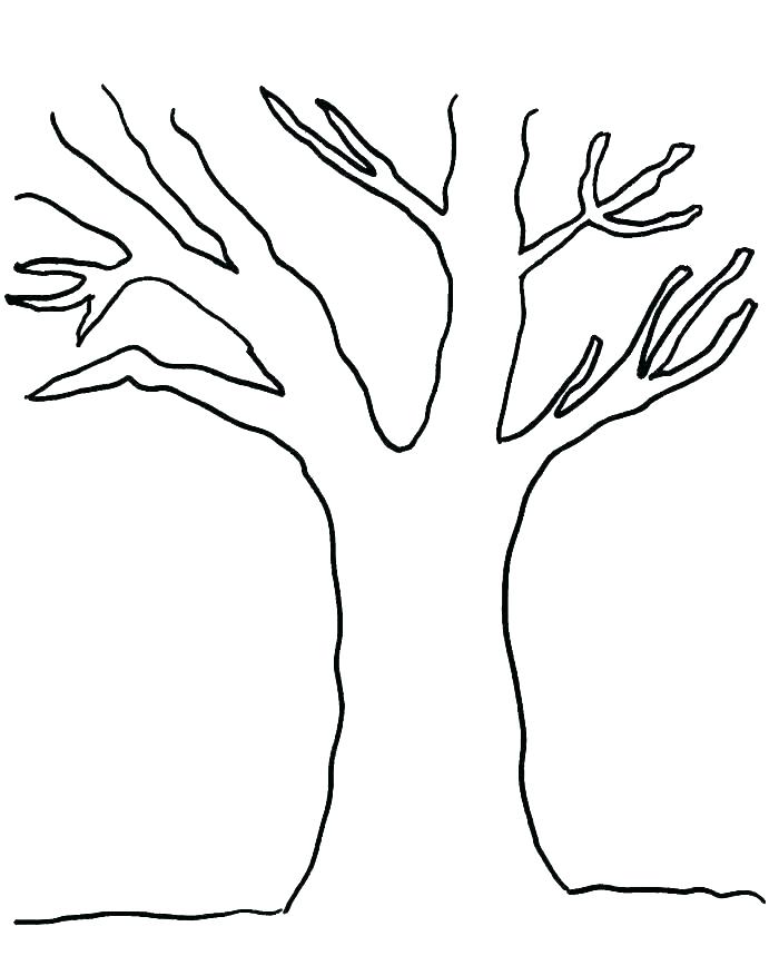 700x859 Pine Tree Coloring Page