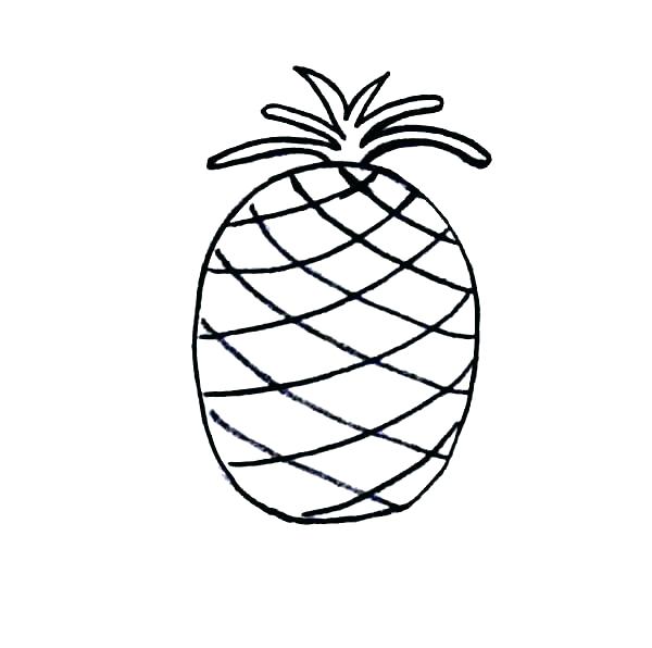 600x596 Pineapple Coloring Page Pineapple Coloring Page Free Printable