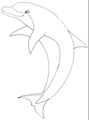 291x392 42 Best Dolphin Images On Bottlenose Dolphin, Dolphin
