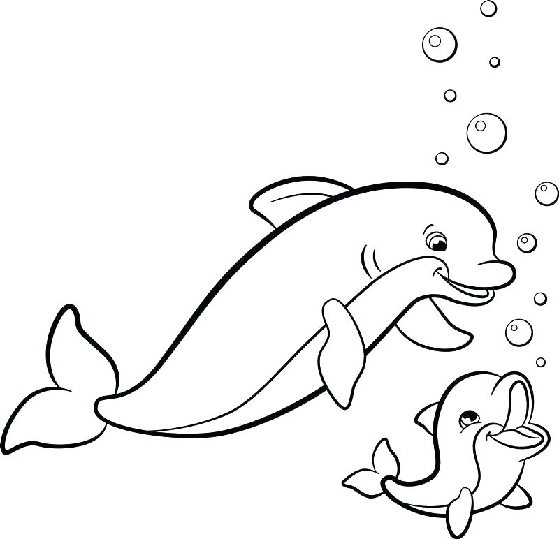 800x772 Miami Dolphins Coloring Pages Dolphin Color Pages Funny Dolphin
