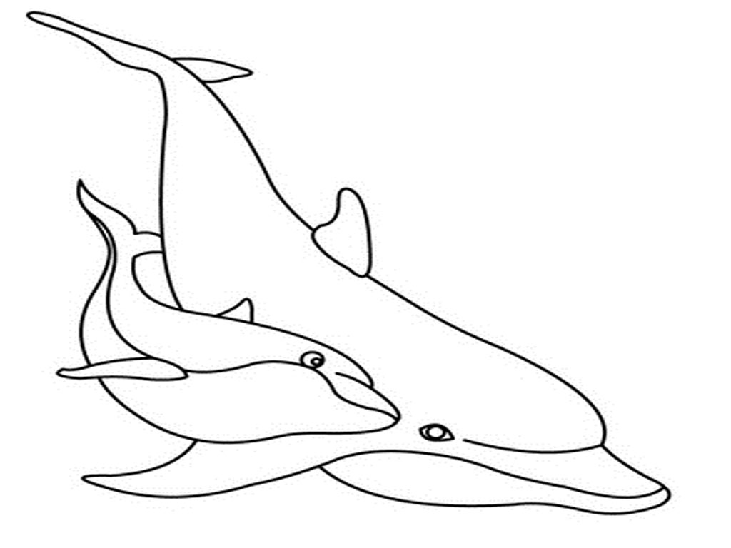 1024x768 Perfect Coloring Pages Of Dolphins 44 For Coloring Books