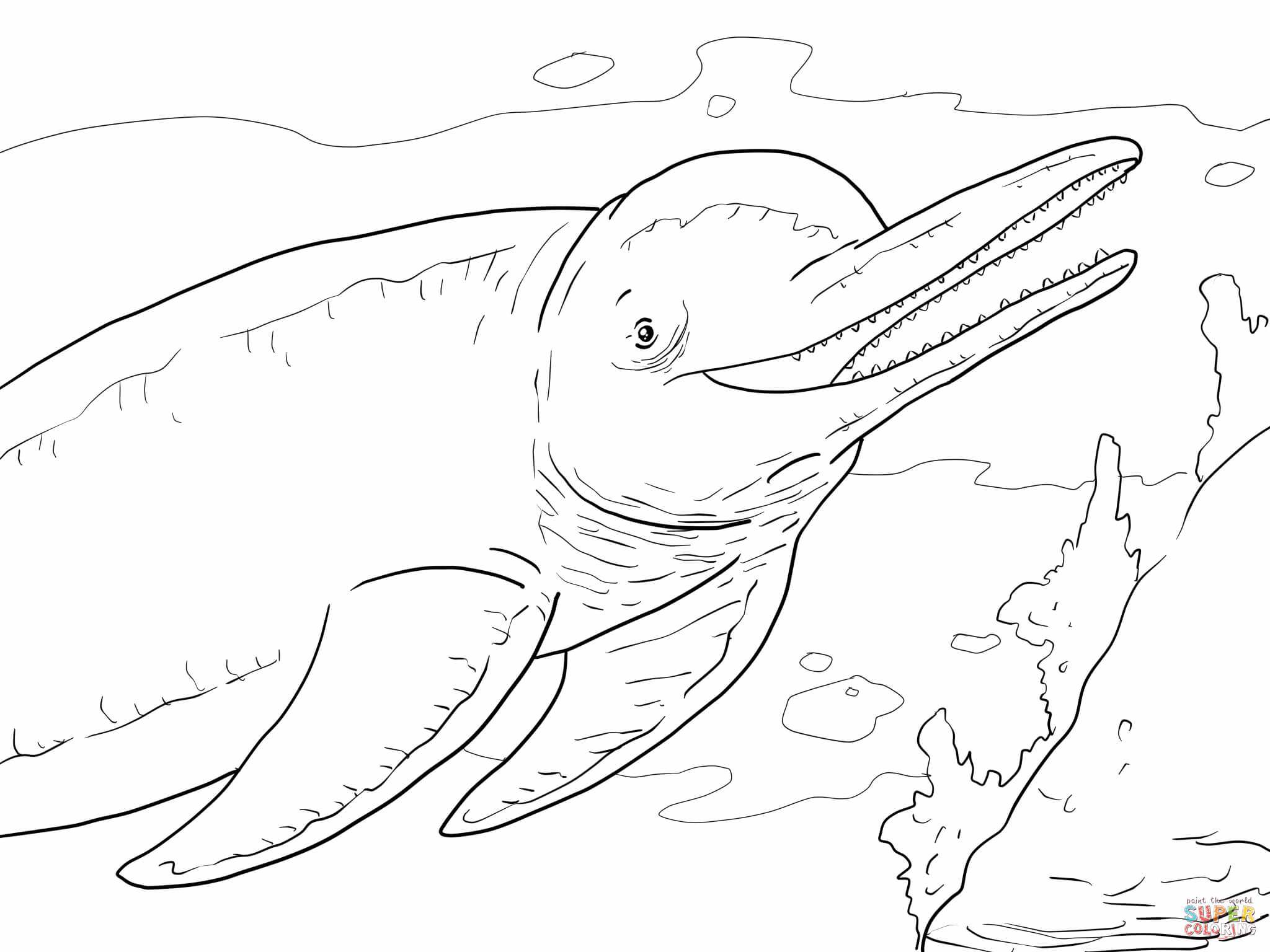 2048x1536 Pink Dolphin Coloring Pages