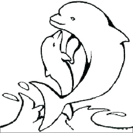 432x432 Dolphin Coloring Page Dolphin Color Pages Dolphins Coloring Pages