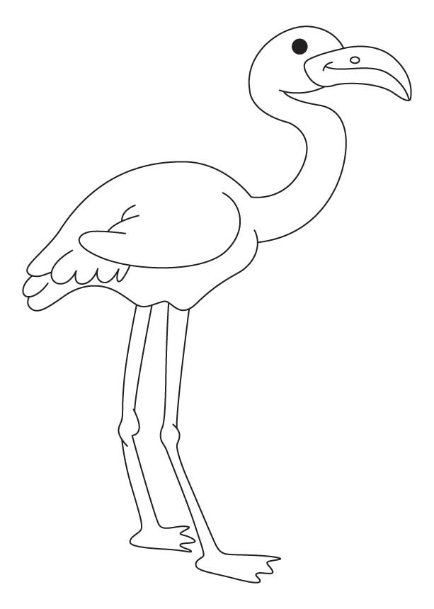 613x860 Flamingo Coloring Page Elegant Flamingos Coloring Pages To Kids