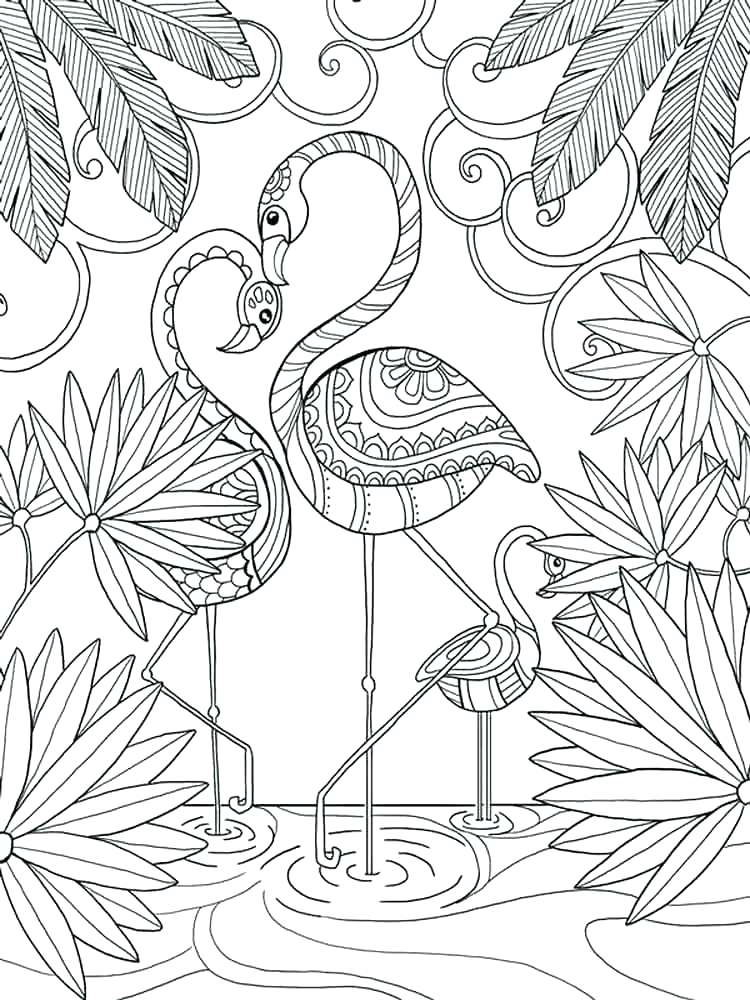 750x1000 Flamingo Coloring Page Flamingo Coloring Page Flamingo Coloring