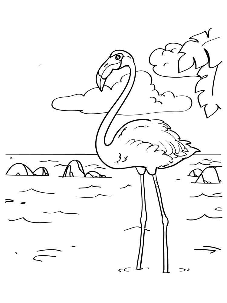 750x1000 Flamingo Coloring Pages Elegant Tropical Pink Flamingo Page