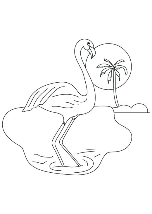 520x730 Flamingo Coloring Pages Pink Coloring Pages Pink Flamingo Coloring
