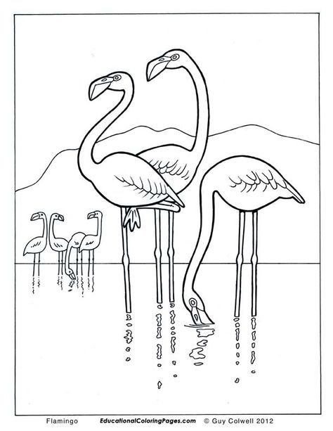 474x613 Flamingo Coloring Pages, Flamingo Colouring Pages Elephants