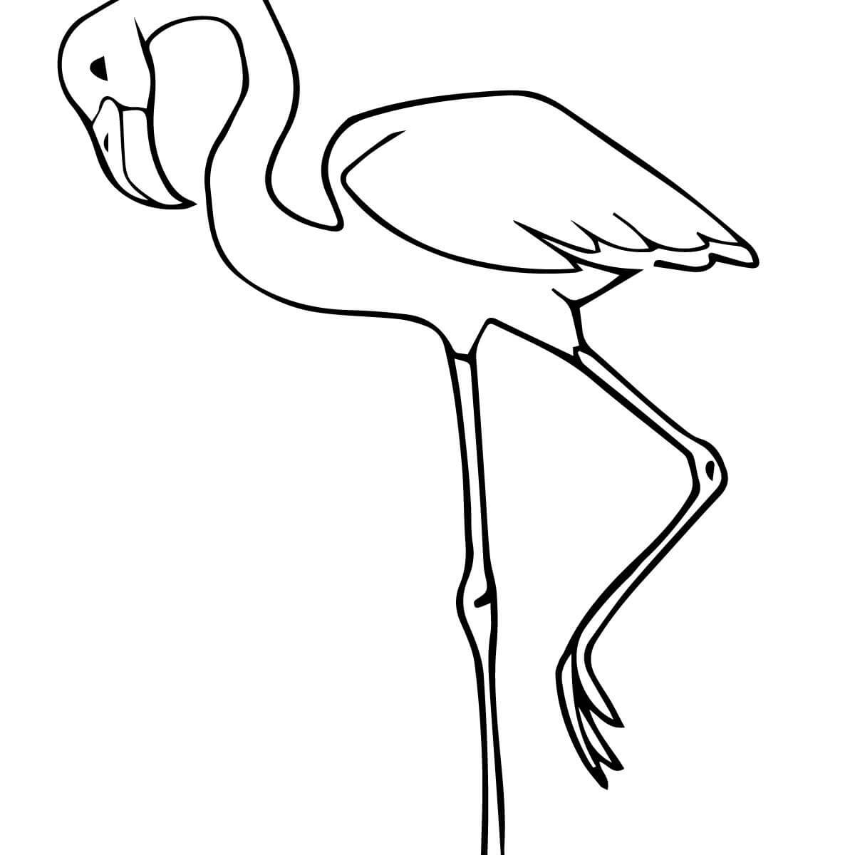 1200x1200 Flamingooring Pages For Adults Cartoon Bird Cute 8 280 Unique