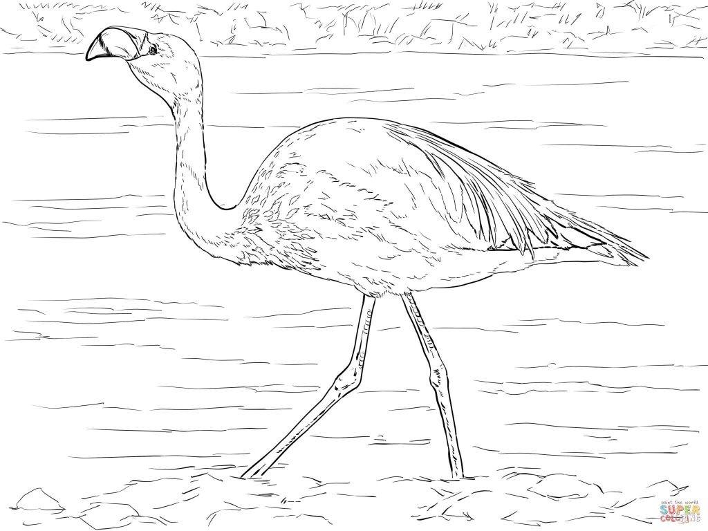 1024x768 Marvelous Decoration Flamingo Coloring Page Flamingos Coloring