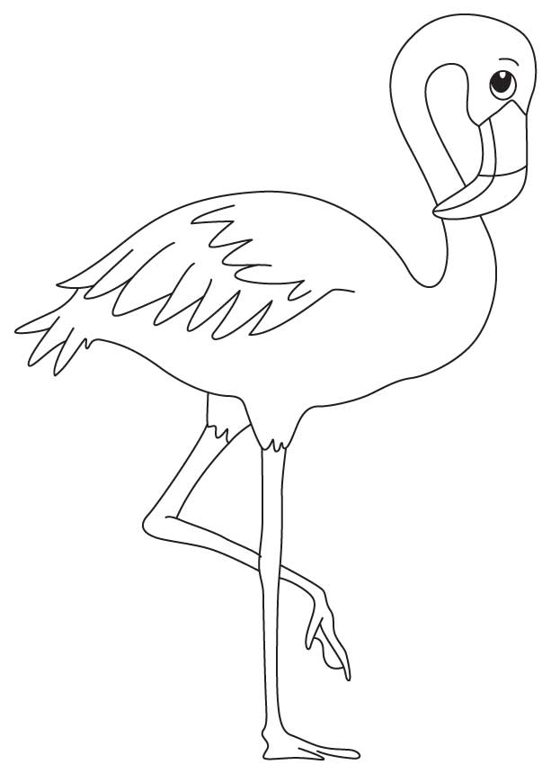613x860 Best Pink Flamingo Coloring Pages Free 3790 Printable