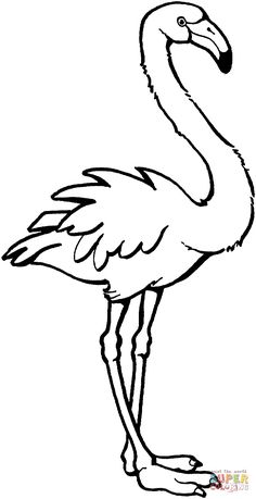 236x459 Pink Flamingo Coloring Page Flamingos Category. Select