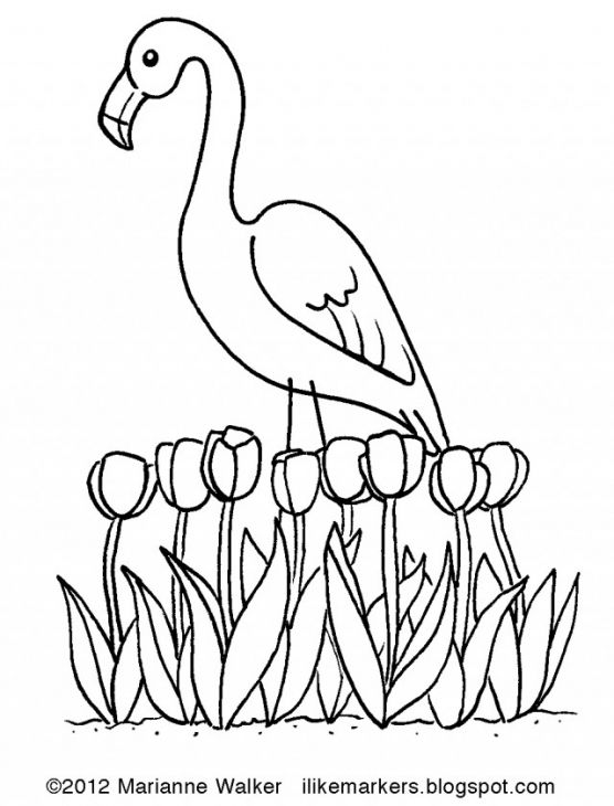 556x730 The Exotic Pink Bird Flamingo Coloring Page Free To Print Animal
