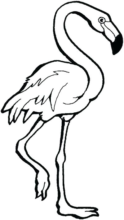 400x707 Pink Flamingo Color
