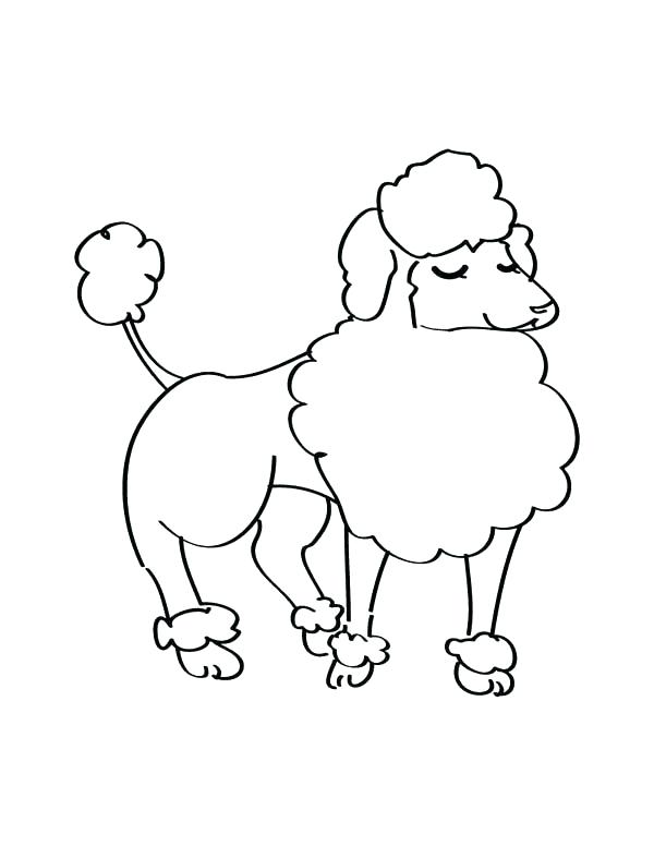 600x776 Poodle Coloring Page Poodle Coloring Page An Elegant Female Poodle