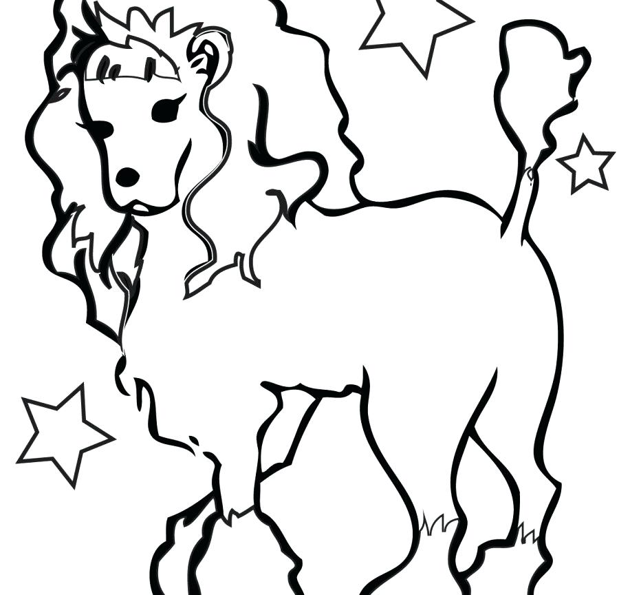 900x864 Poodle Coloring Pages With Animal Dog Printable Animals Puppy Free