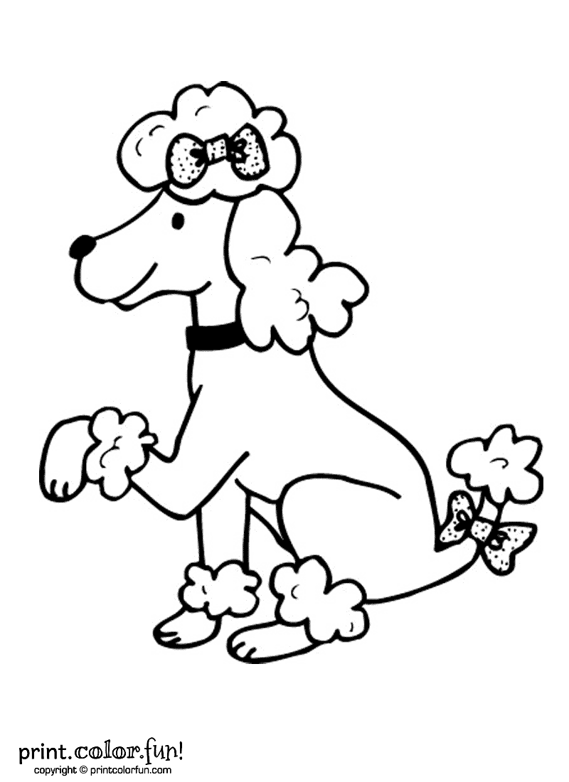 800x1100 Poodle Dog Print. Color. Fun! Free Printables, Coloring Pages