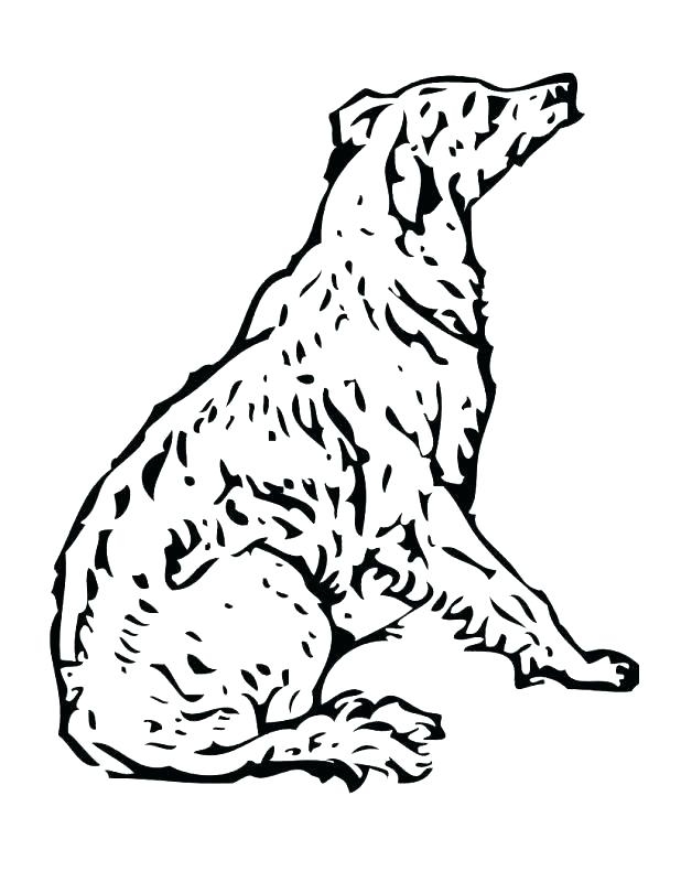 618x800 Free Poodle Coloring Pages Poodle Coloring Page Pin Color Page