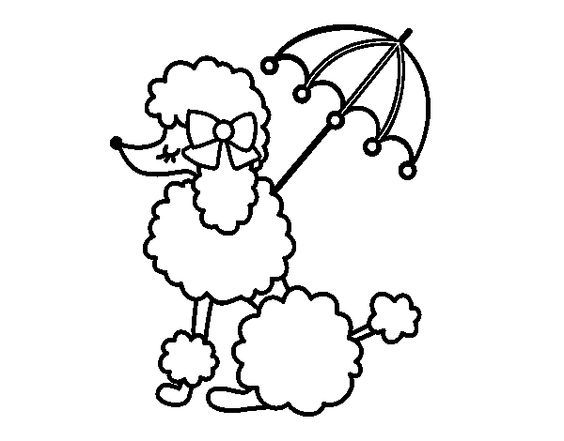 564x441 Pin By Michelle W On 9th Bday Party Poodle, Stamps
