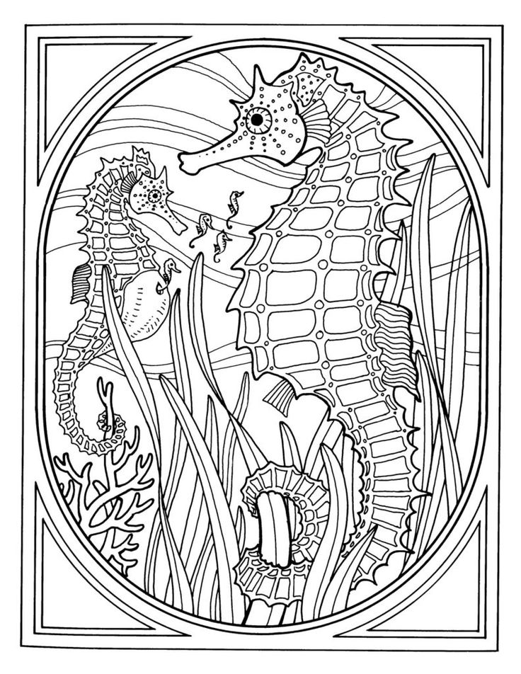 736x952 Free Printable Sea Life Coloring Pages 25 Unique Ocean Coloring