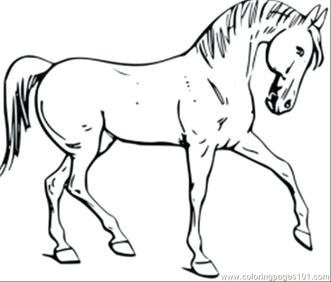 650x553 Coloring Picture Of Horse Horse Coloring Pages Prancing Pinto