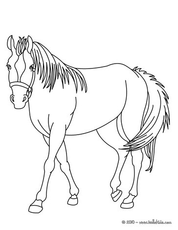 364x470 Dinosaur Coloring Pages Coloring Pagesanimals Coloring