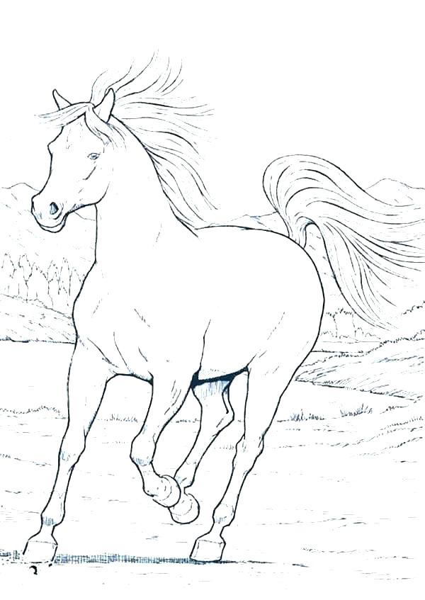 600x847 Horse Coloring Games Play Free Printable Coloring Horse Coloring
