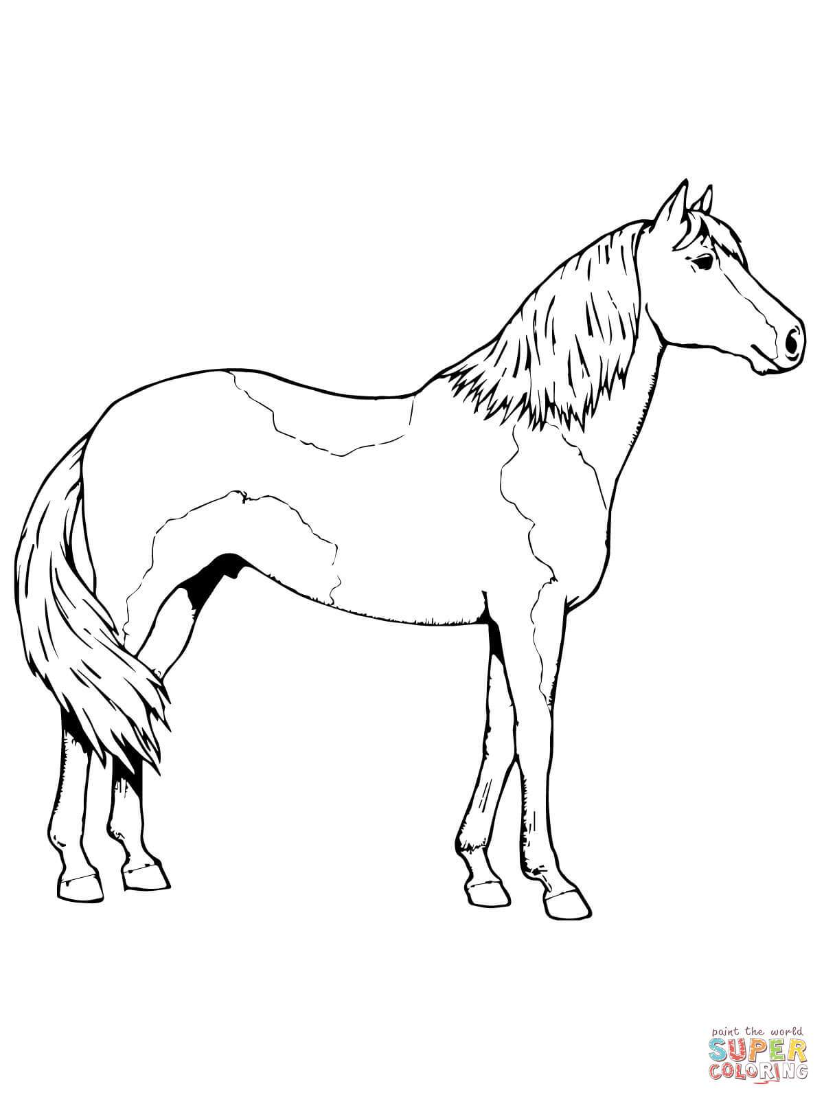 1200x1600 Paint Horse Coloring Pages