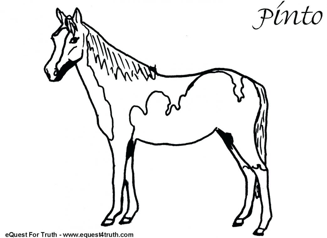 1043x758 Pin By On Embroidery Horse Funny In Horses Coloring Page Pages
