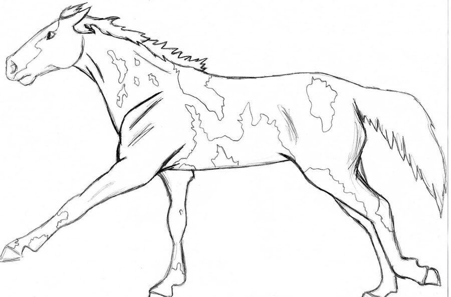 900x593 Realistic Wolf Coloring Pages Paint Or Pinto Horse By Angry Wolf
