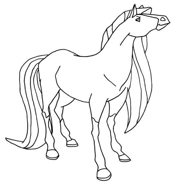 600x629 The Fastest Horse