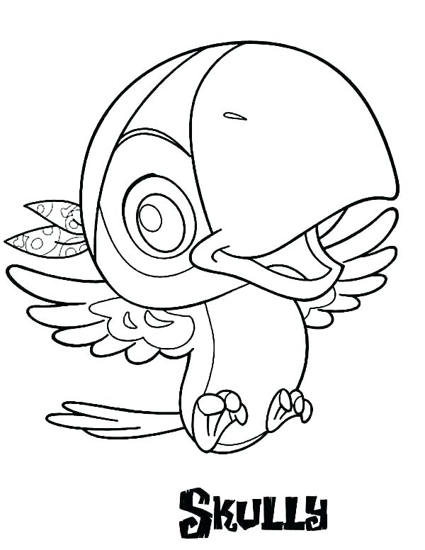600x776 Pirate Hat Coloring Page Hat Coloring Page Pirate Hat Coloring