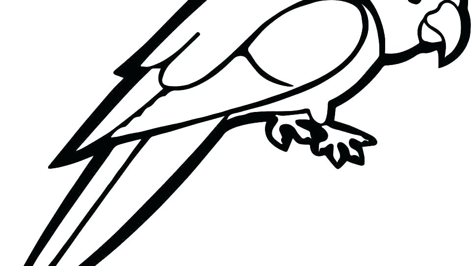 960x544 Parrot Coloring Pages Parrots Coloring Pages Parrot Coloring Pages