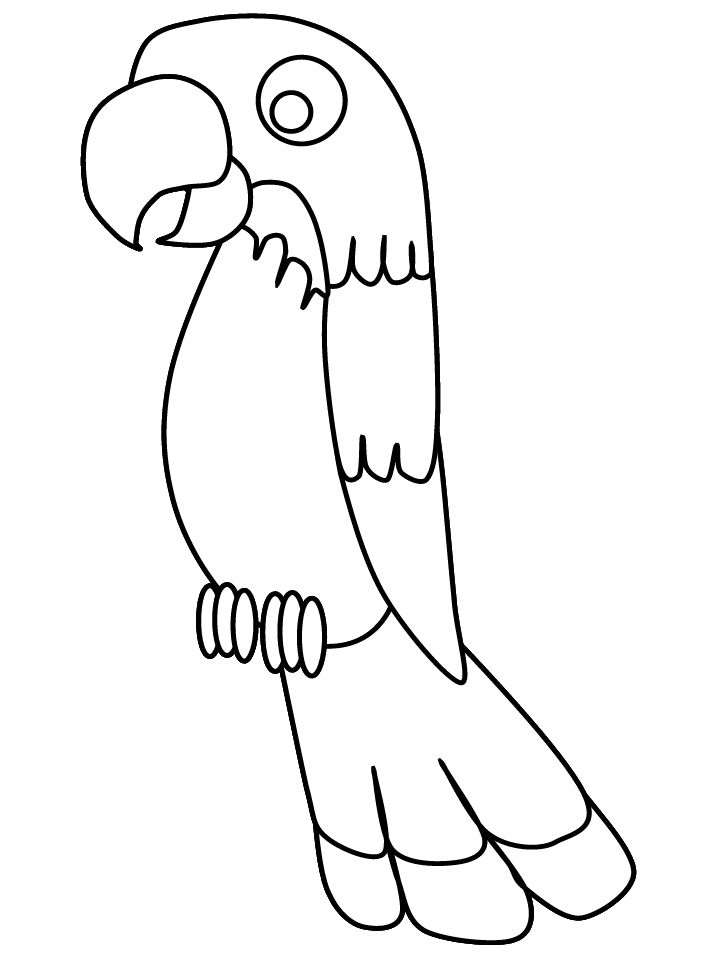 718x957 Parrot Coloring Page Print Out On Red Construction Paper And Glue