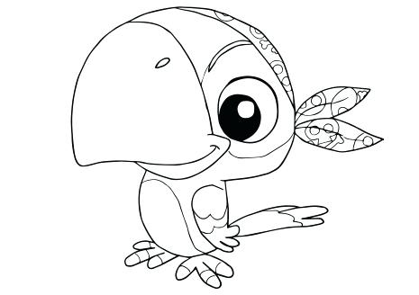 465x328 Pirate Parrot Coloring Pages Cookie From And The Page Pirates