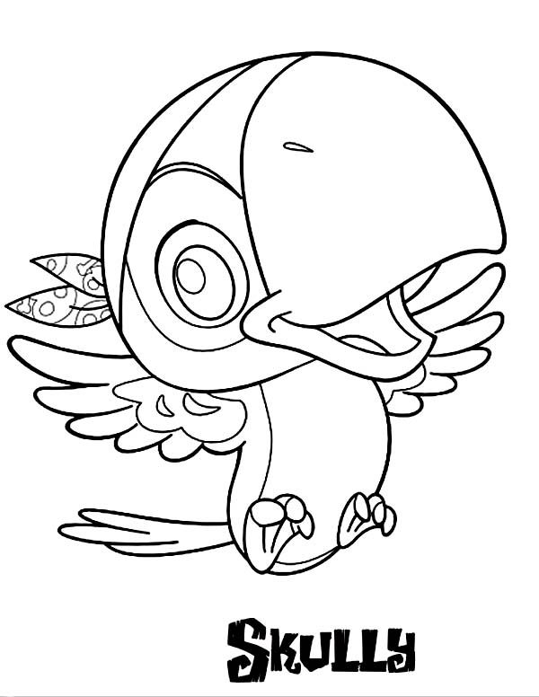 600x776 Pirate Parrot Coloring Pages 106 Best Parrot Coloring Pages Images