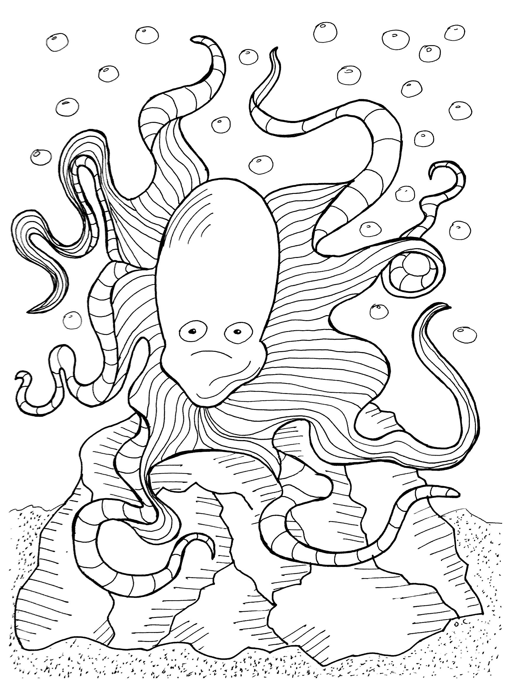 1730x2328 Pisces To Print