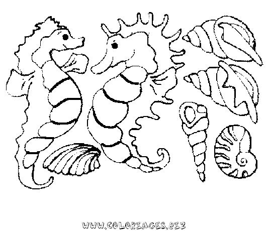 533x460 Coloriage Poissons De Mer Coloriages