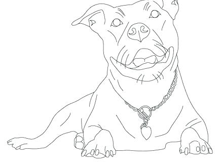 440x330 Coloring Pages Pit Bulls Coloring Page Coloring Pages