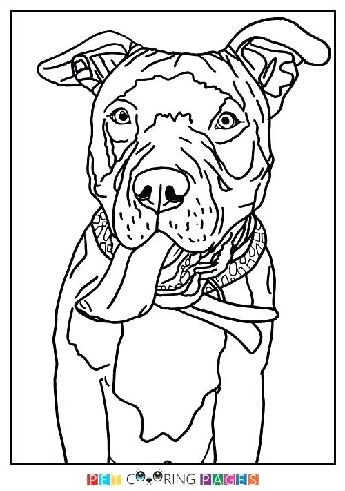 500x711 Coloring Pages Of Pit Bulls Page Bull Terrier Cute Puppy