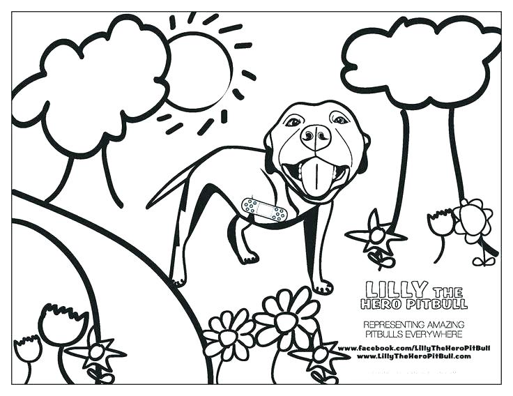 736x568 Green Bay Coloring Pages Bay Buccaneers Coloring Pages Pit Bull