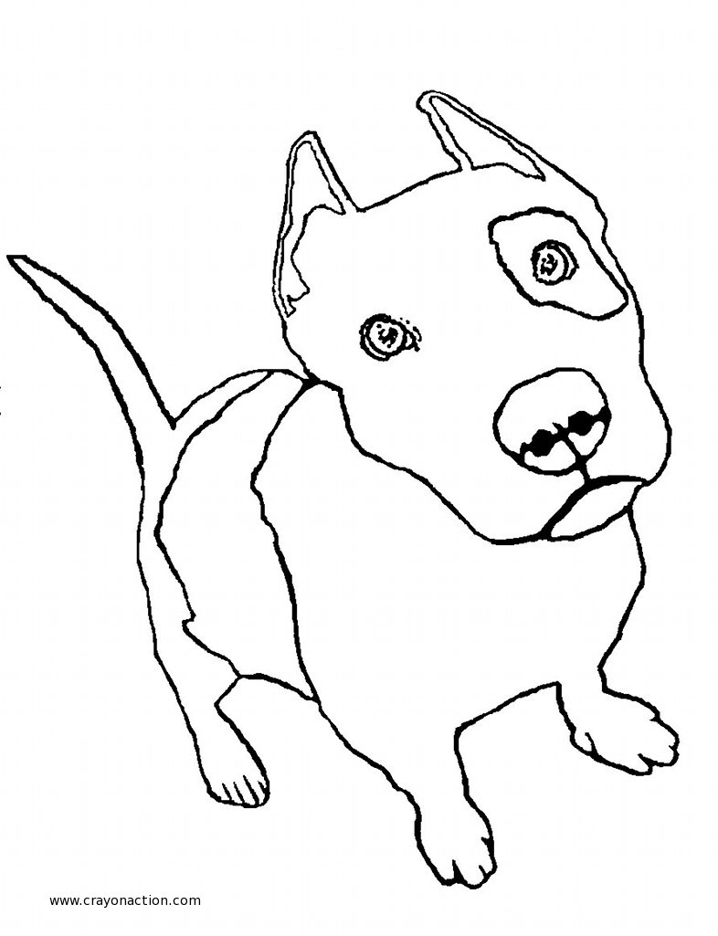 786x1025 Incredible Ideas Pitbull Coloring Pages Pit Bull Puppy Page Crayon