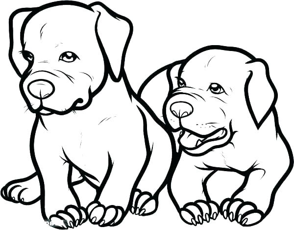600x469 Pitbull Coloring Page Minimalist Coloring Pages Best Of Dog Page