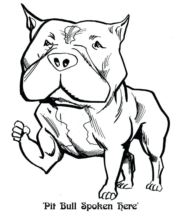 600x735 Pitbull Coloring Pages Pit Bull Coloring Sheets Pitbull Face